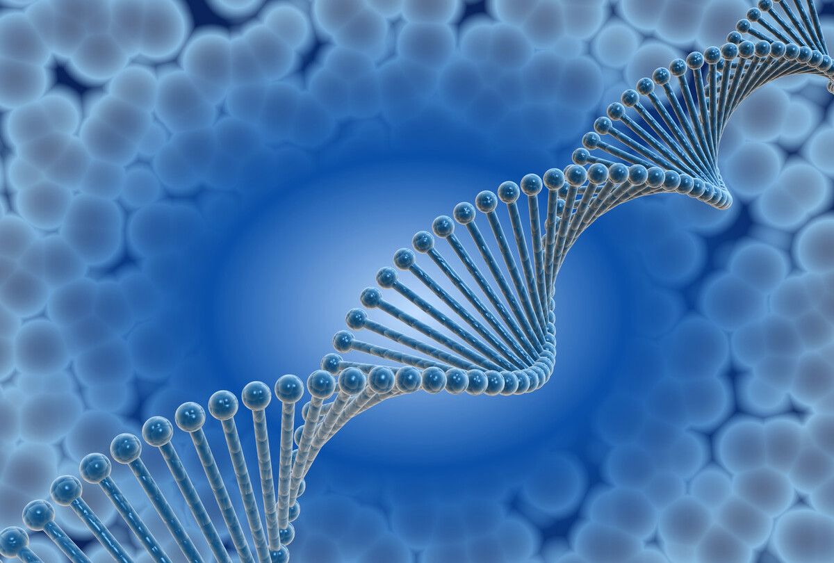 生物医学工程专业的神秘面纱被揭开!