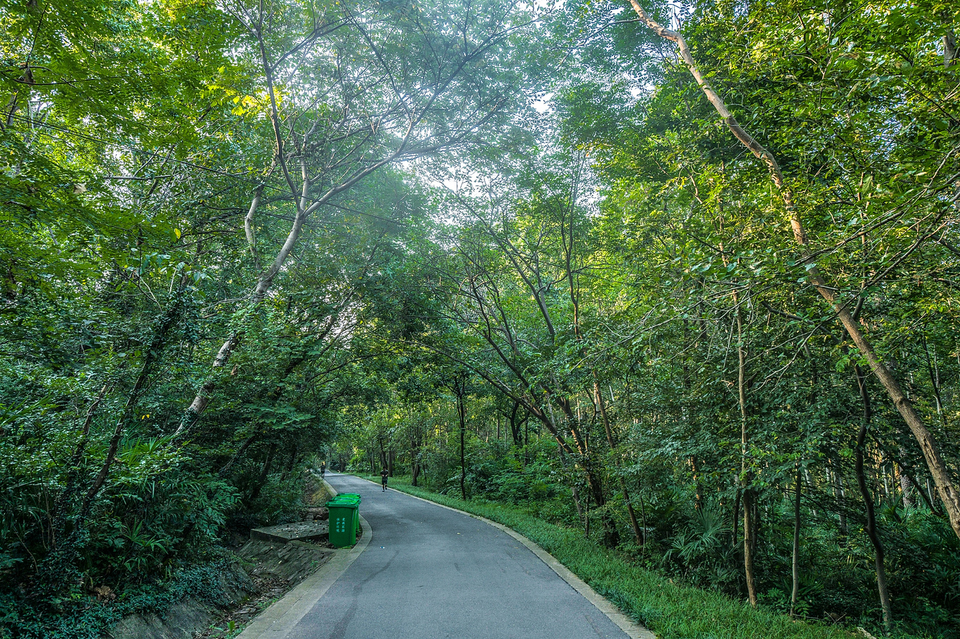 合肥市区最高的山:有森林般的生态环境,不可或缺的城市绿肺!