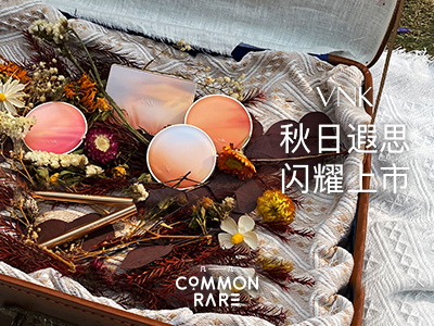蜜粉饼排行榜_VNK彩妆携手凡几创意展,9月新品秋日遐思浪漫上市!