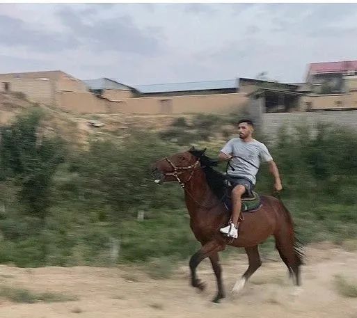 16小时飞跃10256公里，赛前4天临时救场，没想到竟杀出一匹“超级黑马”休闲区蓝鸢梦想 - Www.slyday.coM