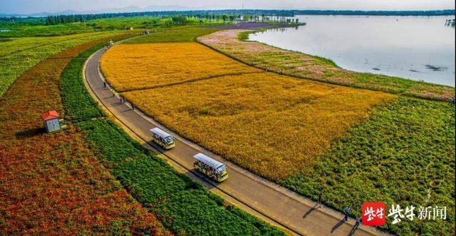 南京高淳固城湖退圩还湖"还出"绿色生机
