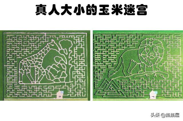 只有在谷歌卫星地图的帮助下，才能被观察到的7个奇妙的景观休闲区蓝鸢梦想 - Www.slyday.coM