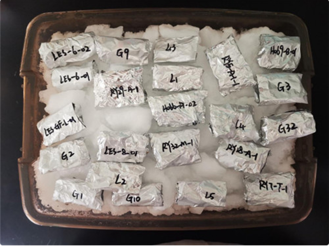 太空旅行3个月 大理22株鲜活益生菌随神舟十二号飞船返回地球休闲区蓝鸢梦想 - Www.slyday.coM