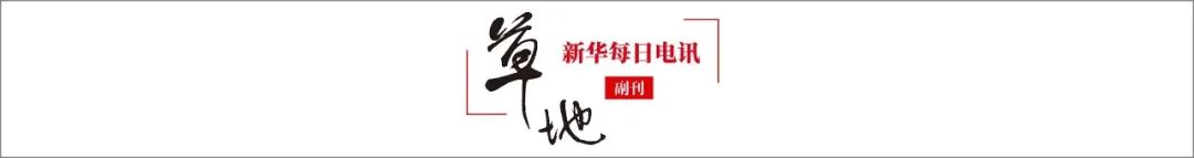 有一种可以打赢的仗，为何抗联选择了放弃？休闲区蓝鸢梦想 - Www.slyday.coM