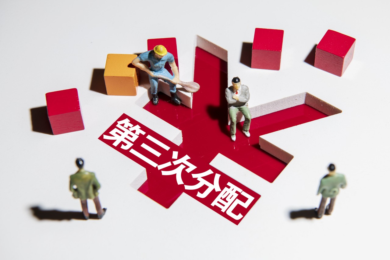 专家观点|赵忠:三次分配体系的构建应该明确划分政府和社会的边界|收入分配_新浪新闻