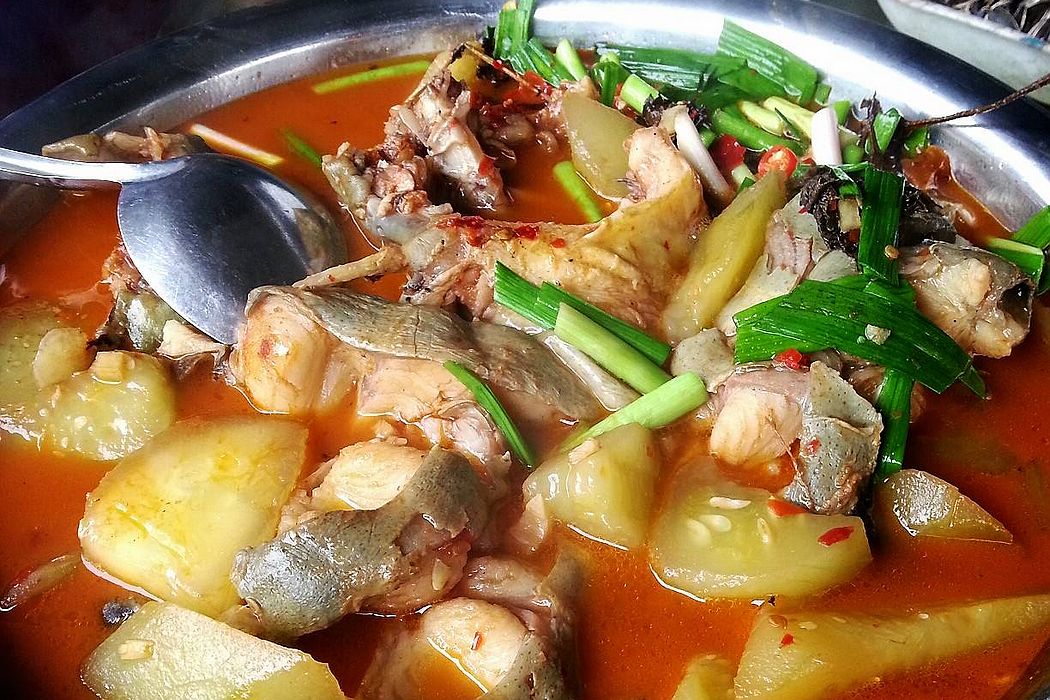 好吃的红烧鲶鱼