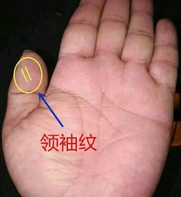 双手通天纹者绝少见有之者心硬手辣大事必成