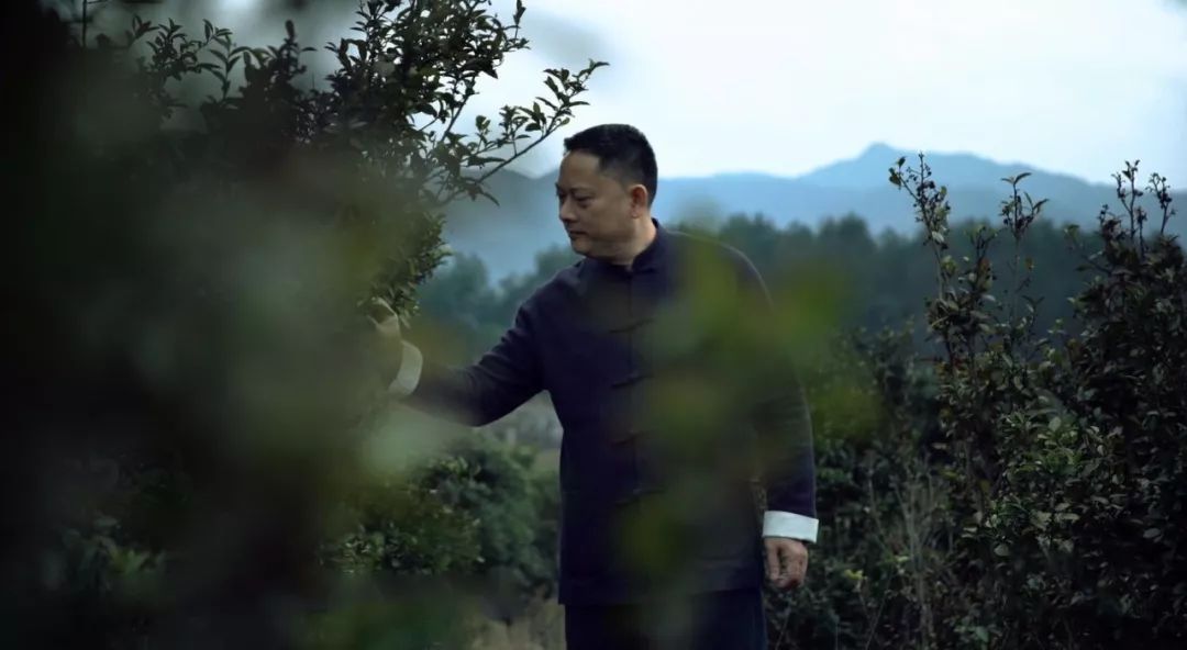 谭伟中寻茶路上的茶痴