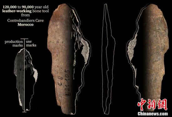摩洛哥发现人类最古老制衣工具 距今12万年休闲区蓝鸢梦想 - Www.slyday.coM