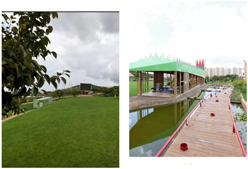 呈贡这些上了热搜的景点，中秋假期邀您来玩！休闲区蓝鸢梦想 - Www.slyday.coM