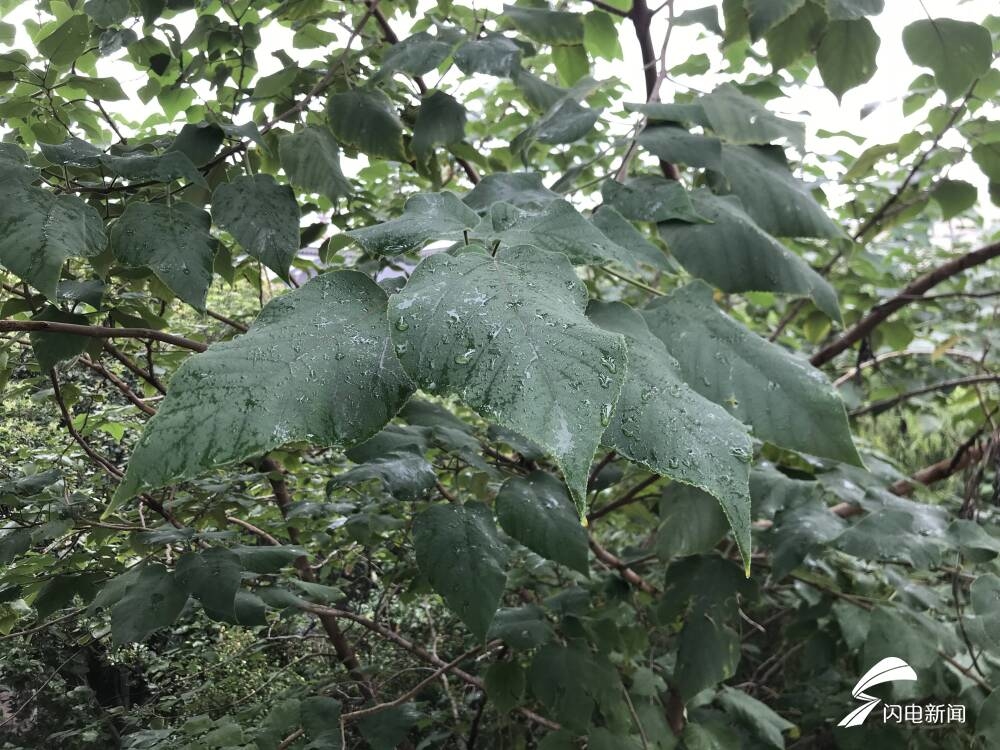 中秋节假期期间，山东这6市有大到暴雨部分地区大暴雨休闲区蓝鸢梦想 - Www.slyday.coM