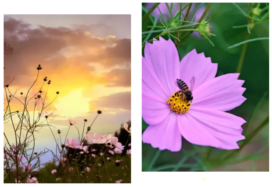 呈贡这些上了热搜的景点，中秋假期邀您来玩！休闲区蓝鸢梦想 - Www.slyday.coM