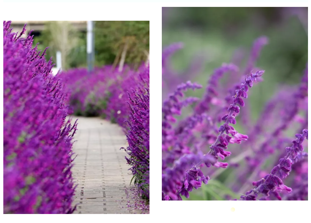 呈贡这些上了热搜的景点，中秋假期邀您来玩！休闲区蓝鸢梦想 - Www.slyday.coM