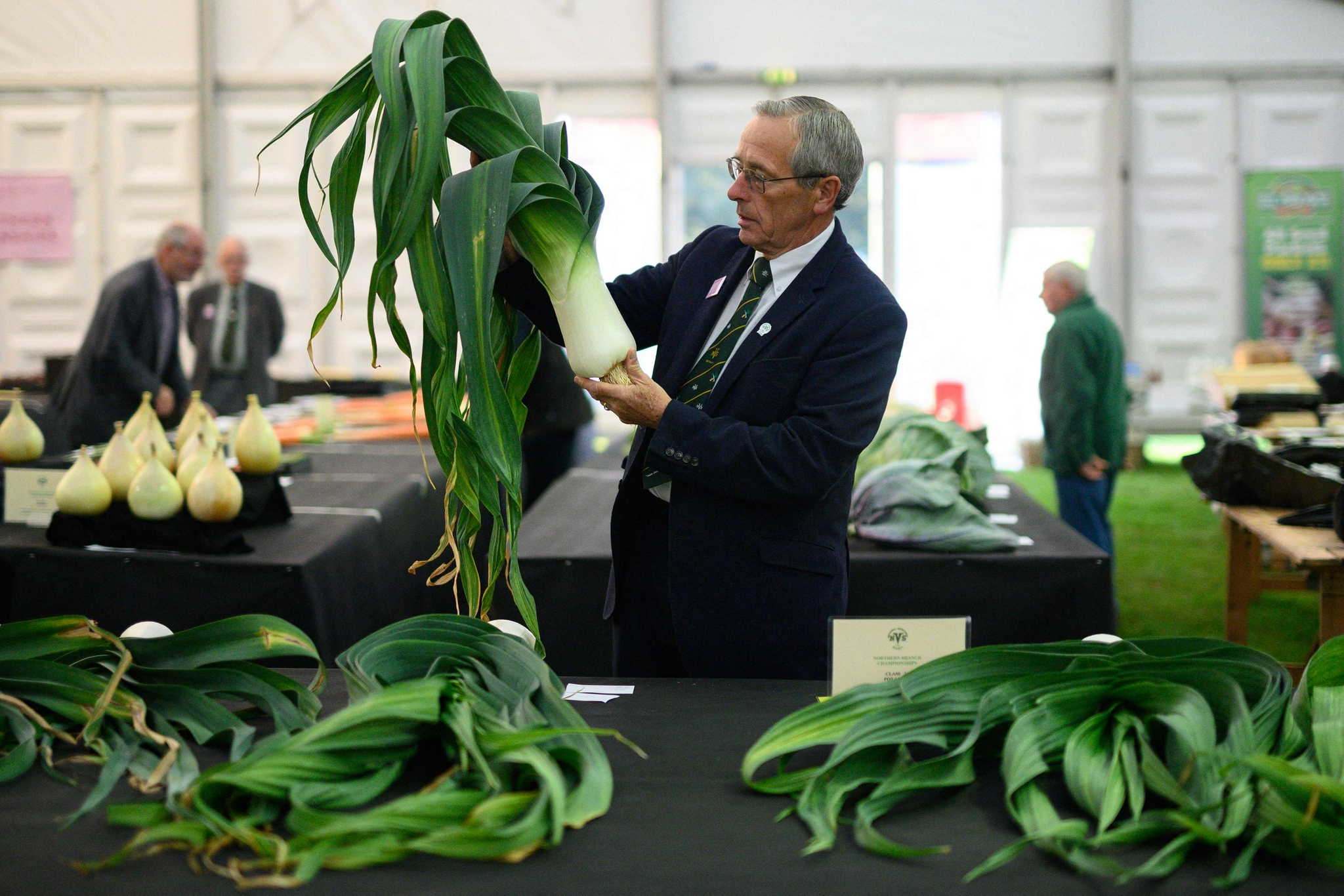 英国哈罗盖特举行秋季花果展