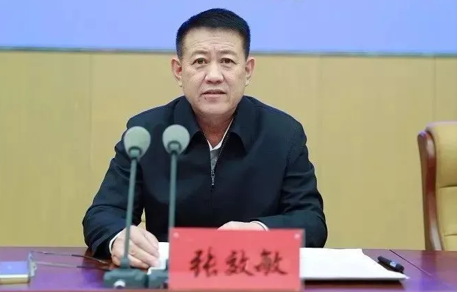 退休6个月内蒙古自治区公安厅原副厅长张效敏被查