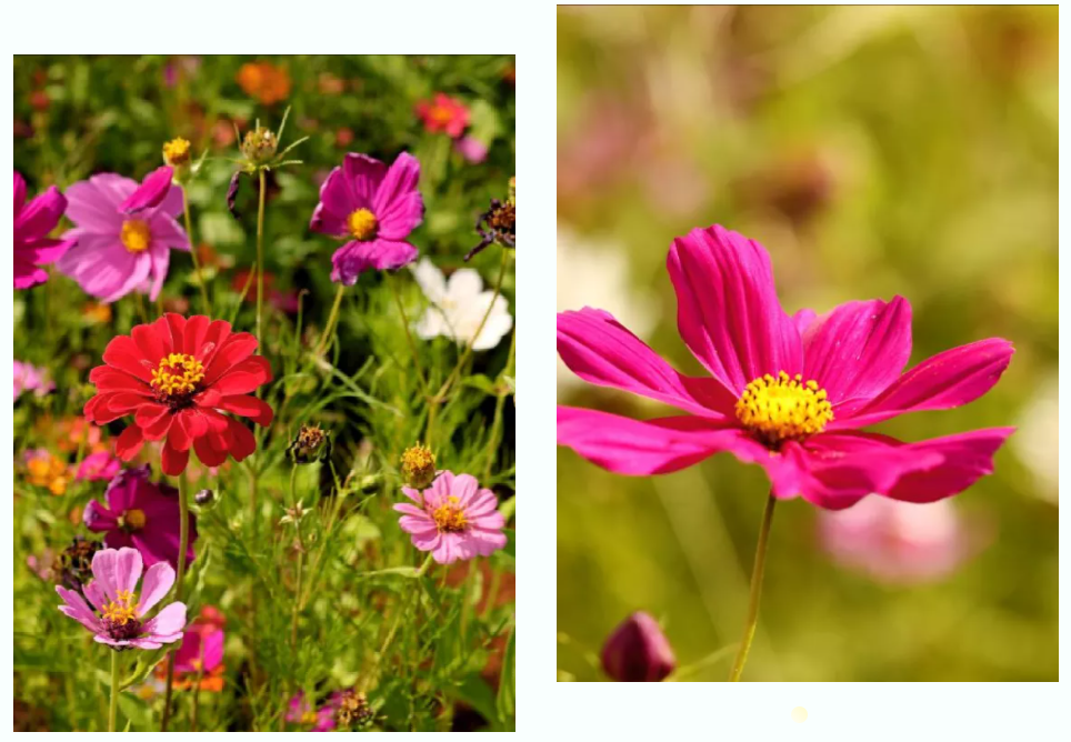 呈贡这些上了热搜的景点，中秋假期邀您来玩！休闲区蓝鸢梦想 - Www.slyday.coM