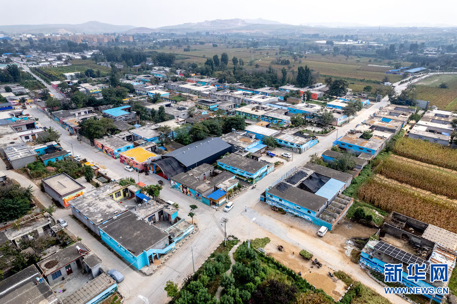 在小屯村的墙壁画中,既有龙,凤,狮子,锦鲤等祥瑞的画作,也有俊男靓女