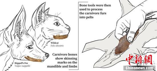 摩洛哥发现人类最古老制衣工具 距今12万年休闲区蓝鸢梦想 - Www.slyday.coM