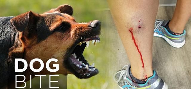 痛心!福建71岁老人在大街上被恶犬咬死,拖行数米,遇到恶犬咋办