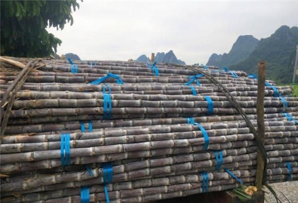 中国的“糖都”在哪里?全国的产糖量,都要看这座甜蜜的城市休闲区蓝鸢梦想 - Www.slyday.coM