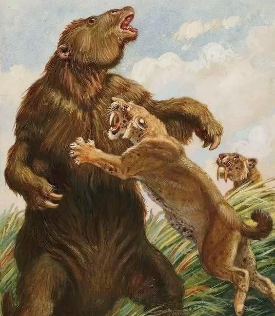 显然小说中的草原大地獭体型并没有那么大.