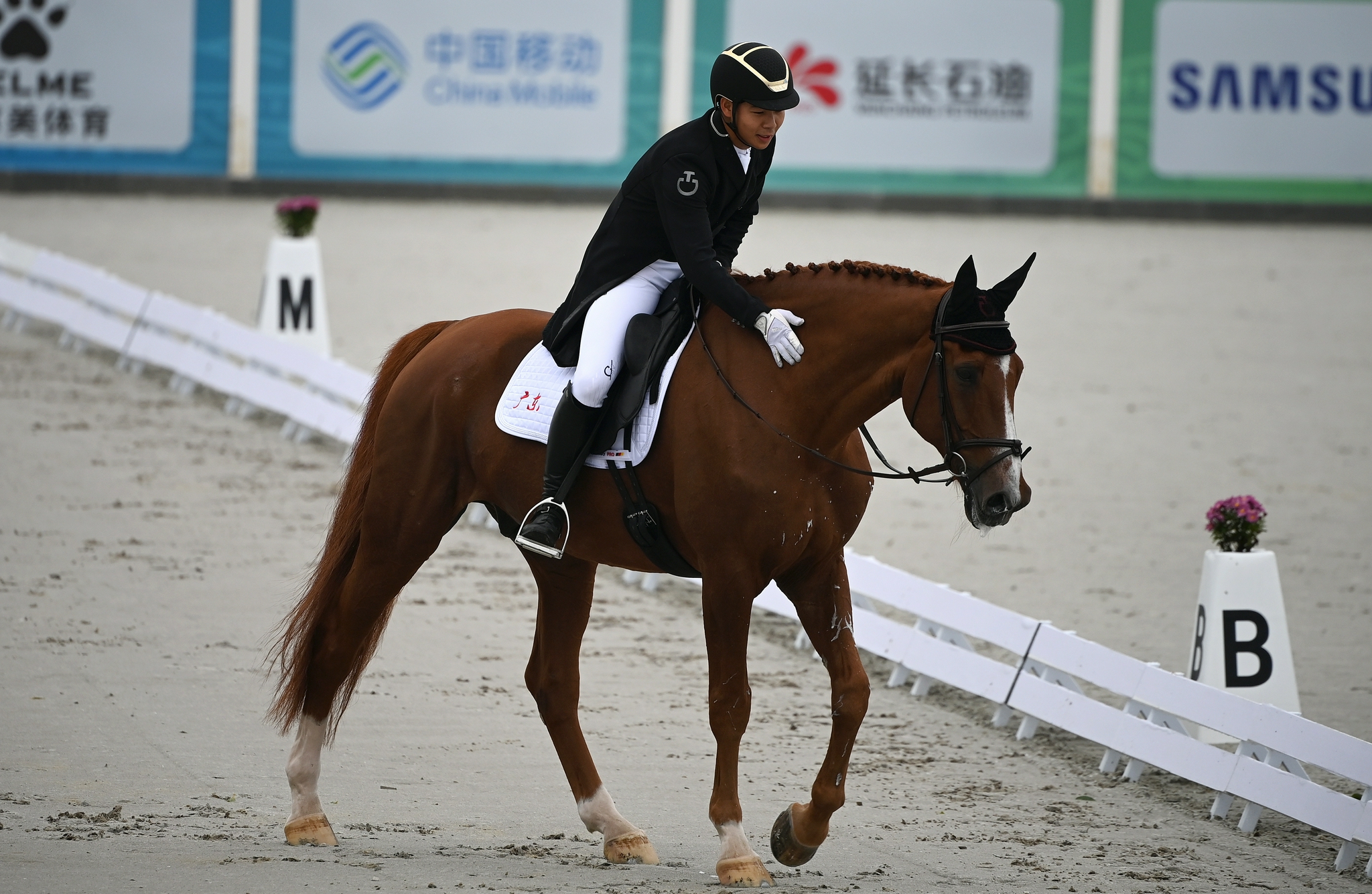 马术——三项赛团体赛盛装舞步赛况