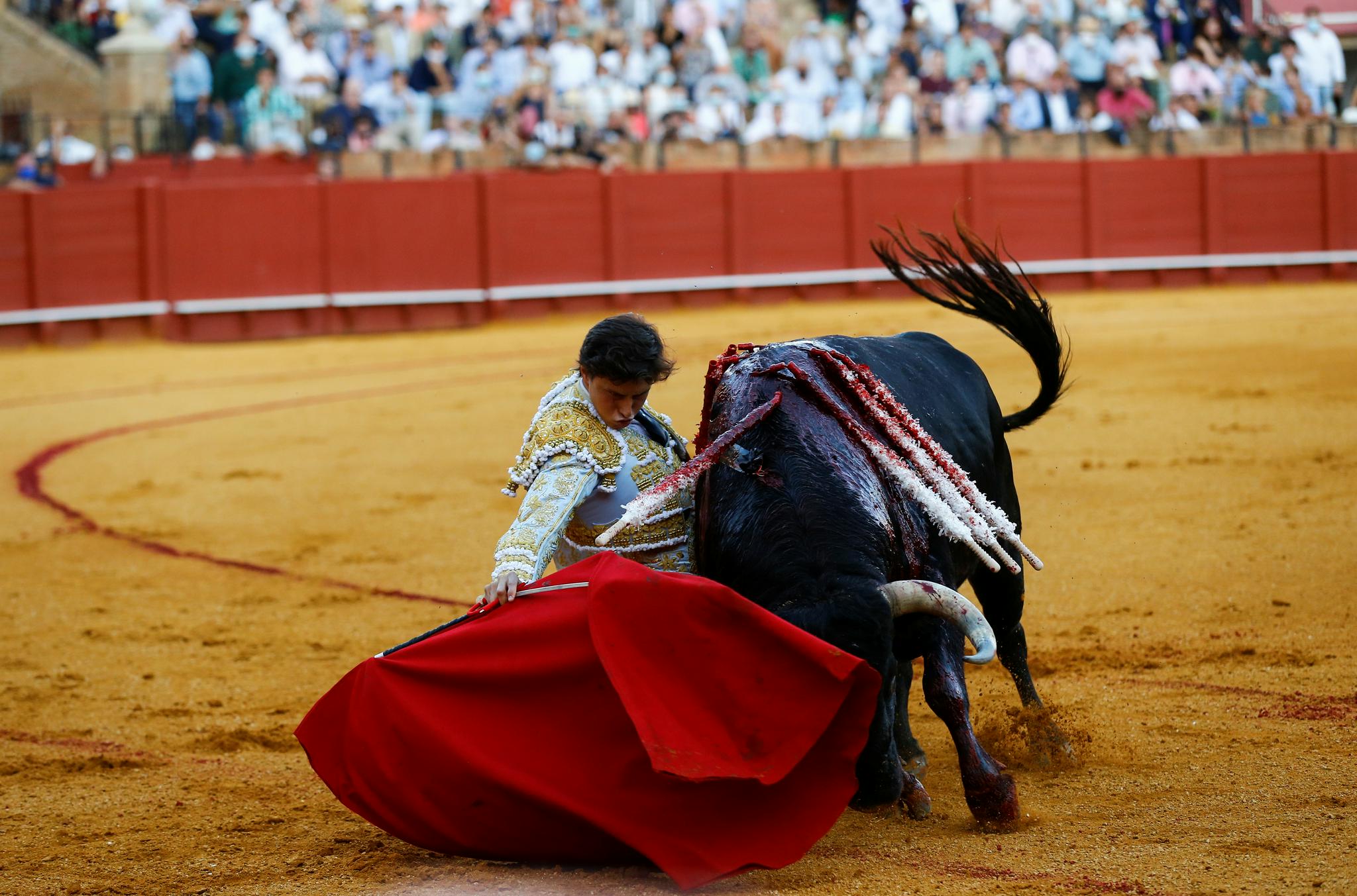 西班牙塞维利亚举行新冠疫情以来首次斗牛表演|西班牙|斗牛士|新华社