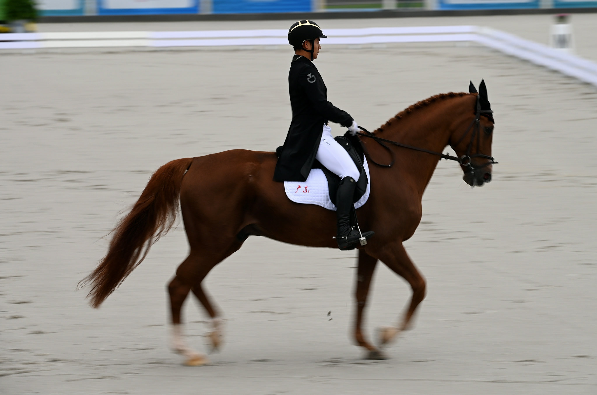 马术——三项赛团体赛盛装舞步赛况