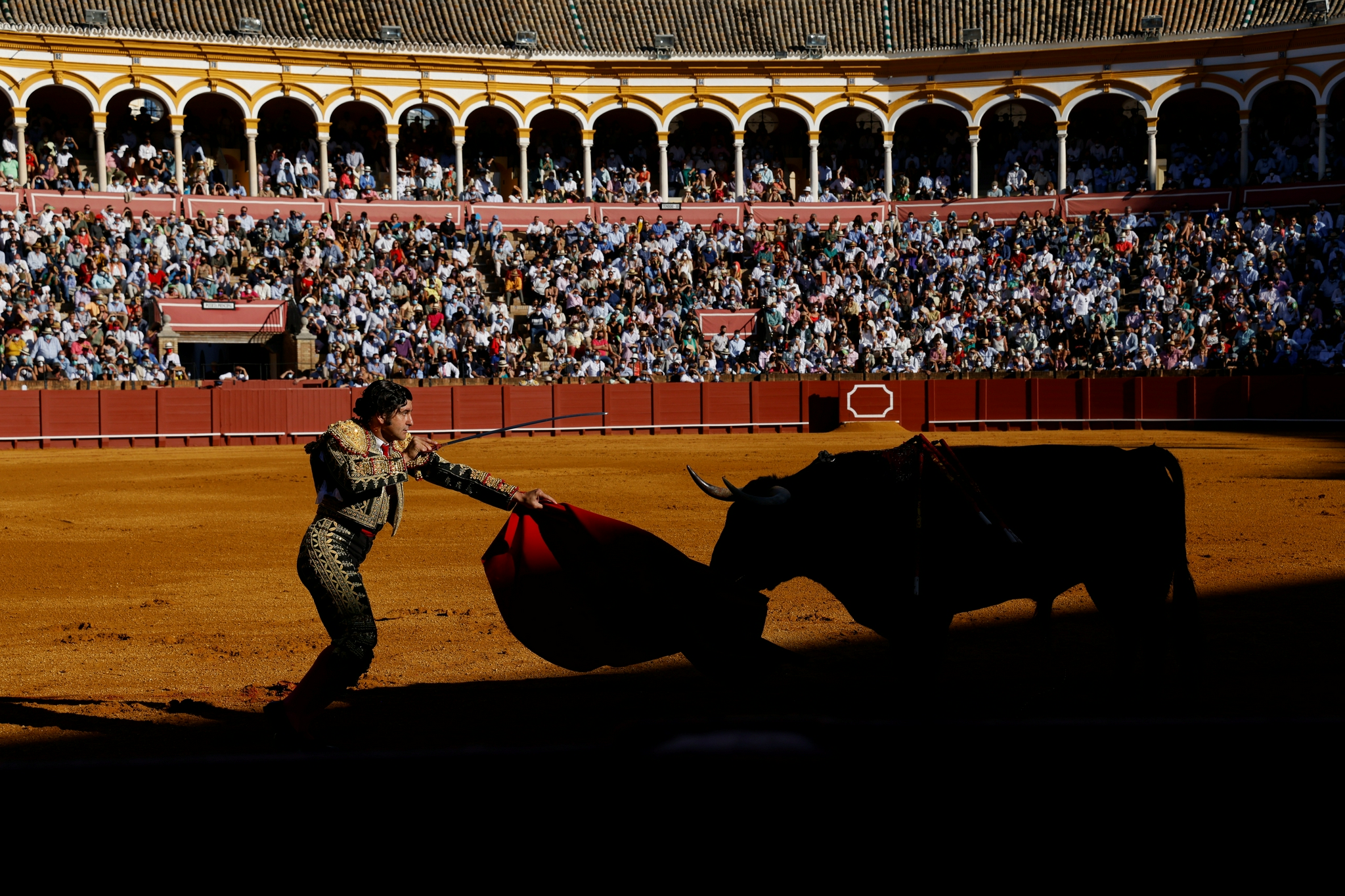 西班牙塞维利亚举行新冠疫情以来首次斗牛表演