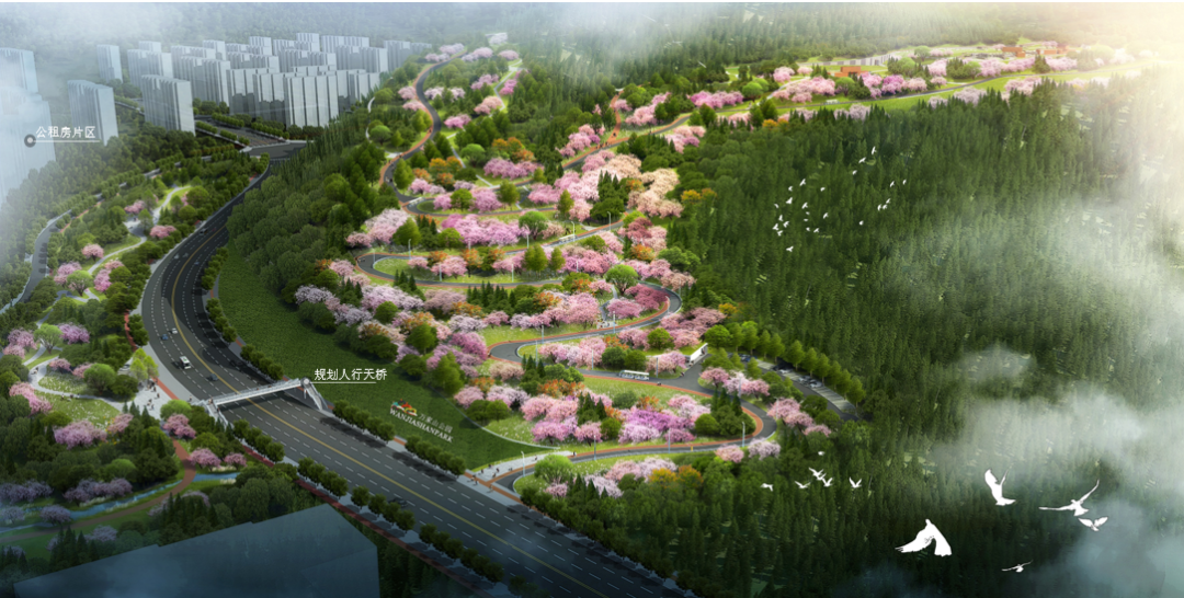 中央公园又见光芒越秀迎来重庆首秀