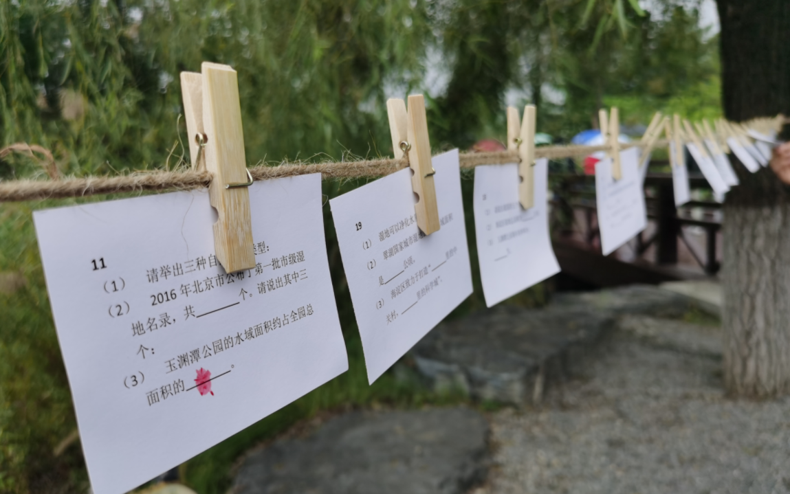 “北京湿地日”，被救助的2只红角鸮、6只鸳鸯被放归大自然休闲区蓝鸢梦想 - Www.slyday.coM