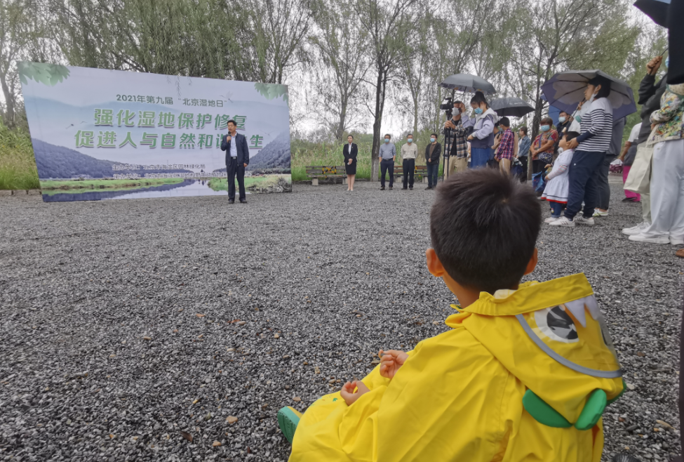 “北京湿地日”，被救助的2只红角鸮、6只鸳鸯被放归大自然休闲区蓝鸢梦想 - Www.slyday.coM