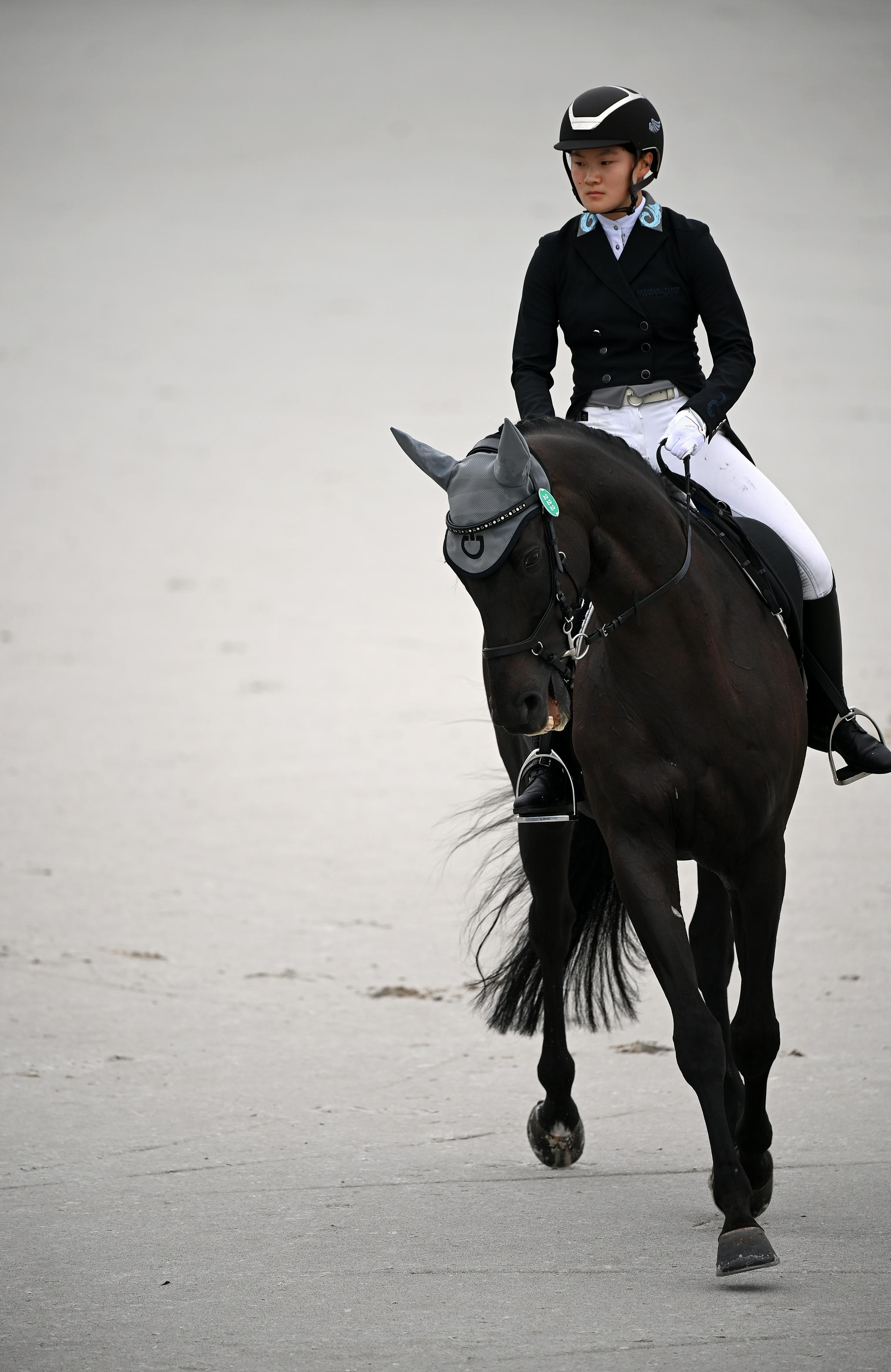 马术——三项赛团体赛盛装舞步赛况|马术|江苏队|上海队_新浪新闻