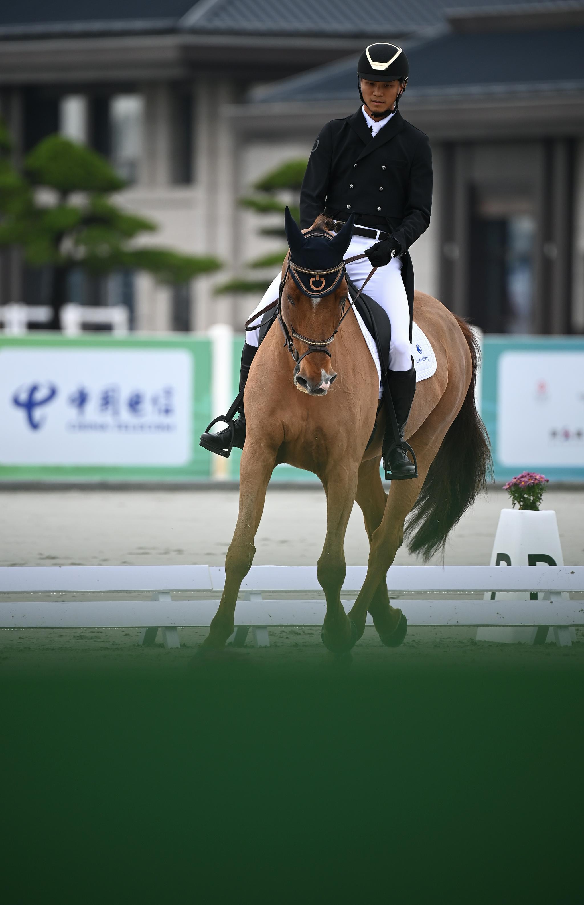 马术——三项赛团体赛盛装舞步赛况