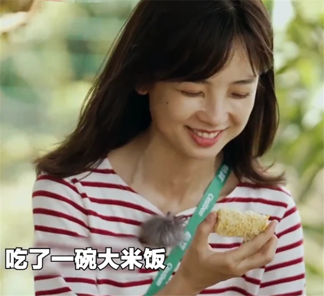 这次参加《你好生活》,王冰冰和撒贝宁,尼格买提等人玩得十分开心