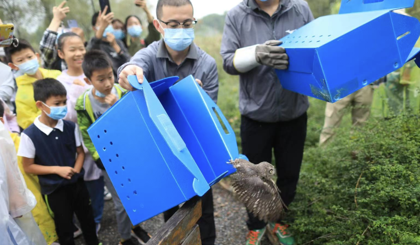 “北京湿地日”，被救助的2只红角鸮、6只鸳鸯被放归大自然休闲区蓝鸢梦想 - Www.slyday.coM