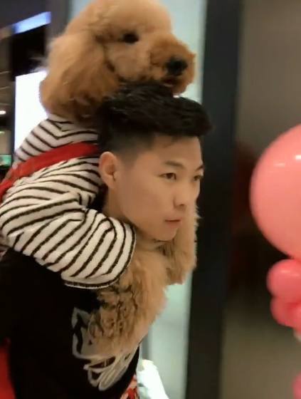 带着狗狗去商场，结果狗狗说什么也不走，网友哭笑不得休闲区蓝鸢梦想 - Www.slyday.coM