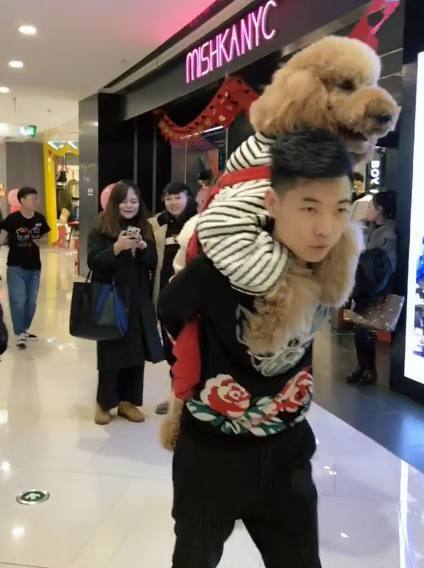 带着狗狗去商场，结果狗狗说什么也不走，网友哭笑不得休闲区蓝鸢梦想 - Www.slyday.coM