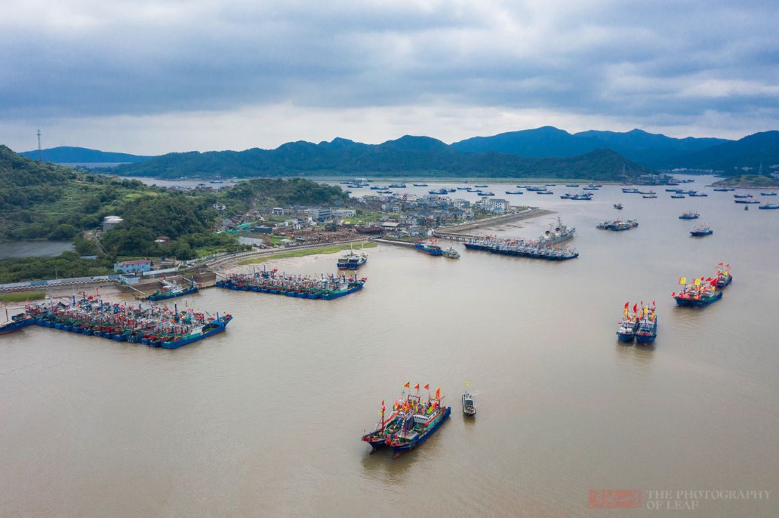 浙江开渔了!四个半月的禁渔后,迎来海鲜的大丰收,吃货们有福了休闲区蓝鸢梦想 - Www.slyday.coM 浙江开渔了!四个半月的禁渔后,迎来海鲜的大丰收,吃货们有福了休闲区蓝鸢梦想 - Www.slyday.coM