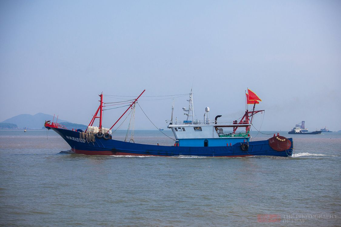 浙江开渔了!四个半月的禁渔后,迎来海鲜的大丰收,吃货们有福了休闲区蓝鸢梦想 - Www.slyday.coM 浙江开渔了!四个半月的禁渔后,迎来海鲜的大丰收,吃货们有福了休闲区蓝鸢梦想 - Www.slyday.coM