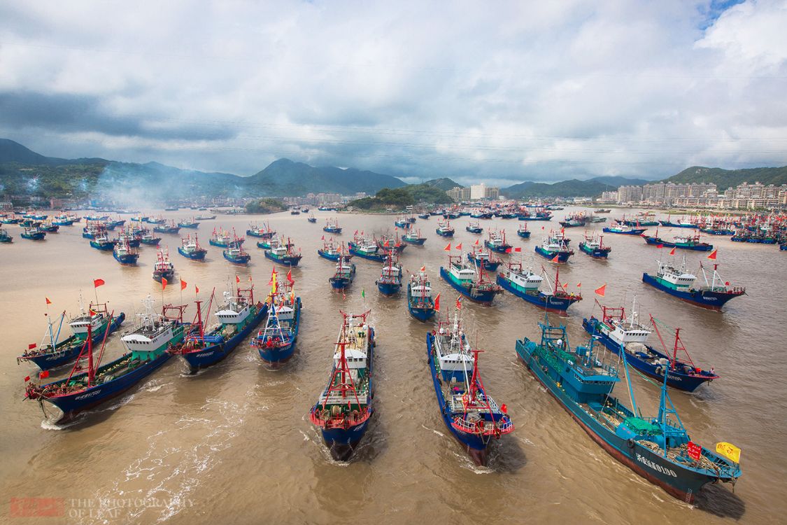 浙江开渔了!四个半月的禁渔后,迎来海鲜的大丰收,吃货们有福了休闲区蓝鸢梦想 - Www.slyday.coM 浙江开渔了!四个半月的禁渔后,迎来海鲜的大丰收,吃货们有福了休闲区蓝鸢梦想 - Www.slyday.coM