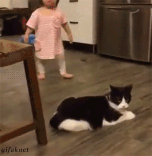 人类幼崽的成长有多感人 人类幼崽的迷惑行为休闲区蓝鸢梦想 - Www.slyday.coM