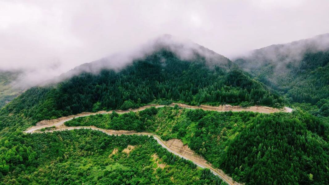 黄土高原上的"绿色明珠" 六盘山国家森林公园