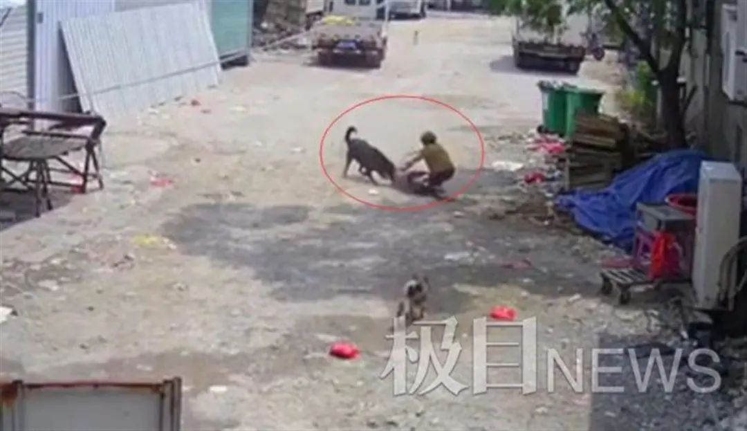 七旬老人被恶犬撕咬身亡 家属发声：狗仍被养着，很气愤！休闲区蓝鸢梦想 - Www.slyday.coM