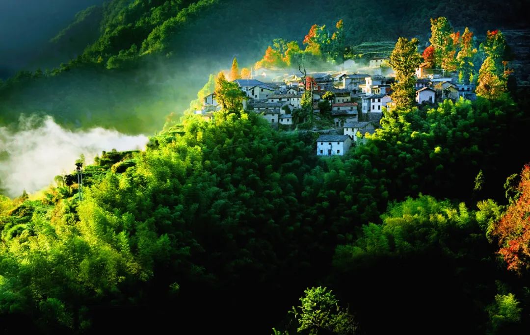 是不是坑踩过才知道深藏在浙里的好去处有一个共同点