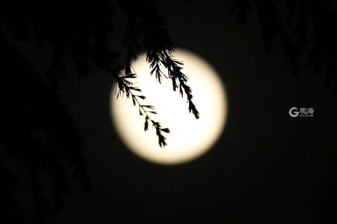 十五的月亮到底啥时候圆?今年与众不同!