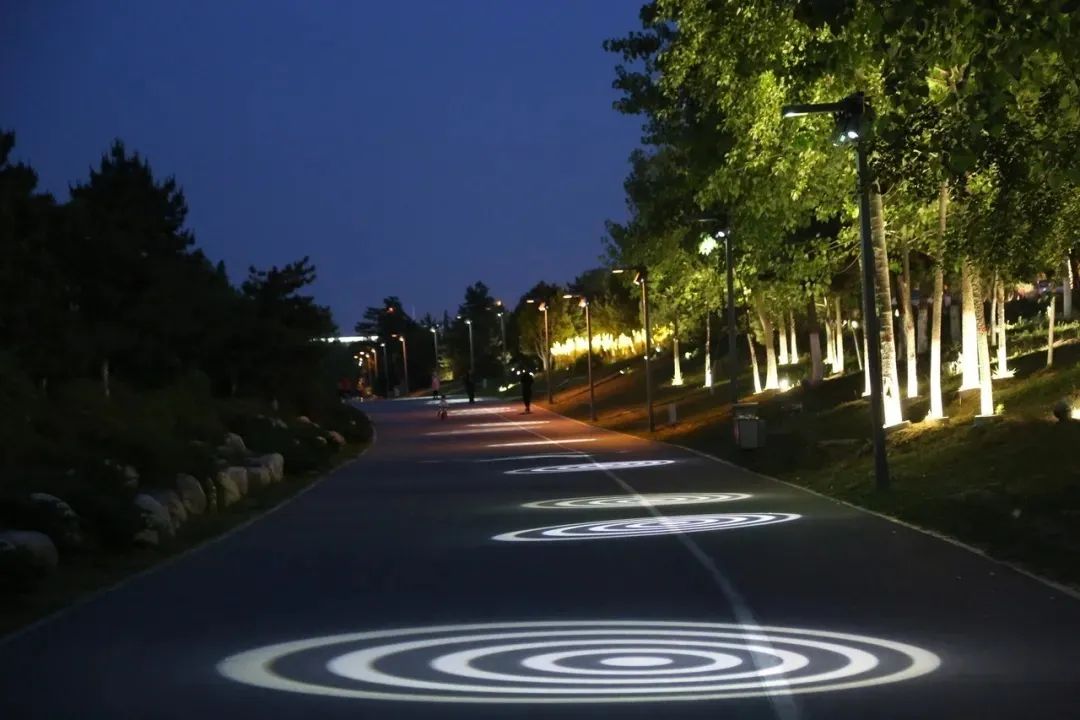 下的西安流光溢彩别具韵味——我市打造"体育 旅游"夜跑线路推广活动