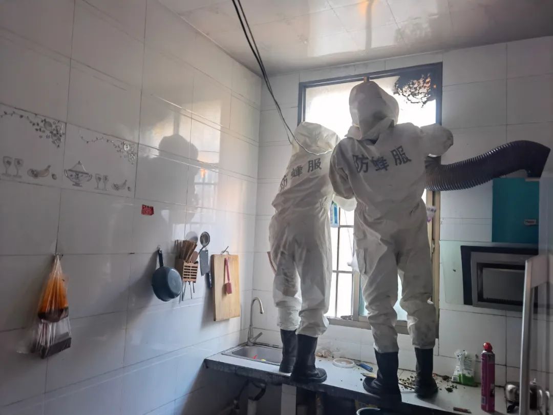 贵州一住户家里惊现巨型马蜂窝！竟有脸盆那么大！休闲区蓝鸢梦想 - Www.slyday.coM