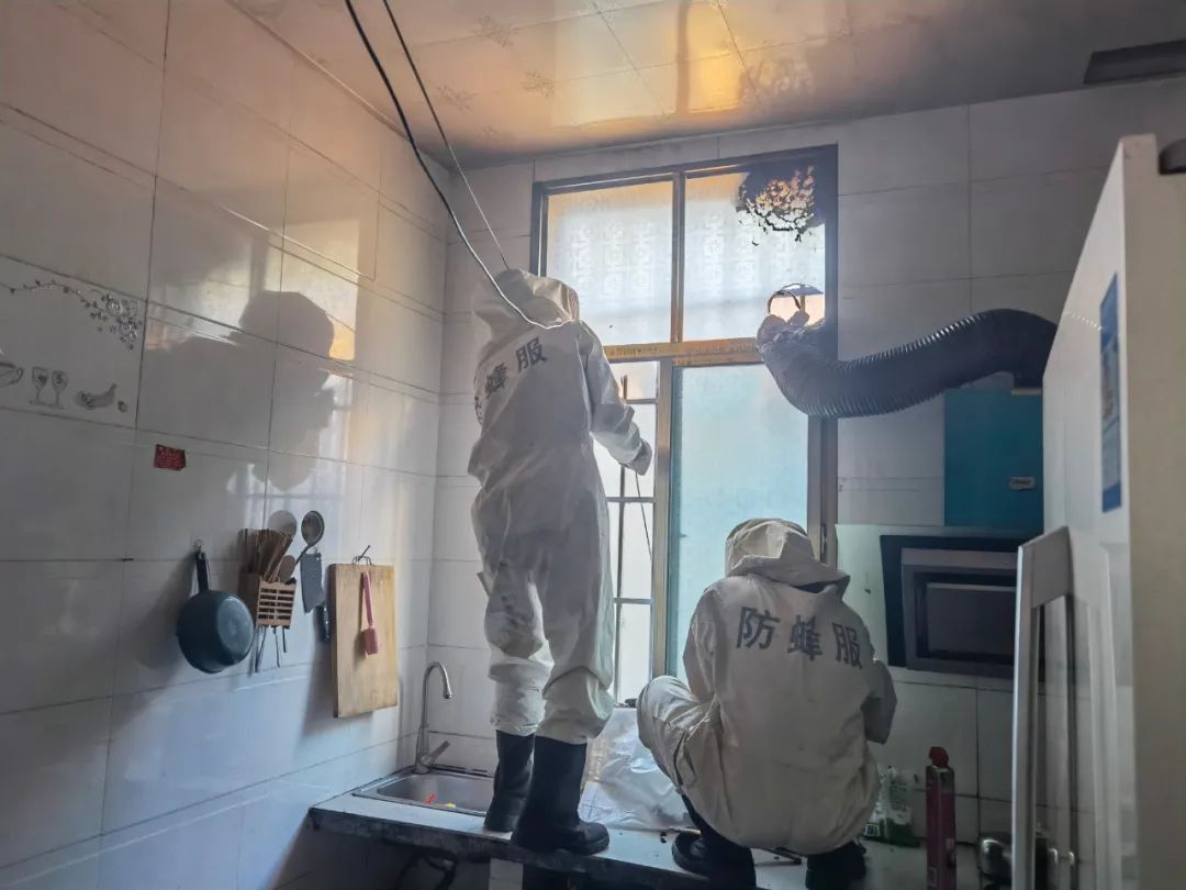 贵州一住户家里惊现巨型马蜂窝！竟有脸盆那么大！休闲区蓝鸢梦想 - Www.slyday.coM