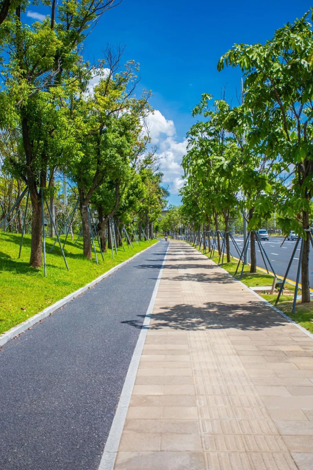 惊艳城市街头的靓丽风景线深圳又一精品工程出炉